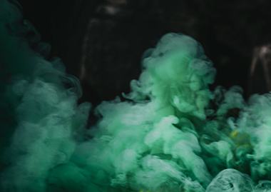 xCROWxNILxTAILxCOCKx